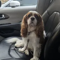 processed/e44ec08a-0915-4885-bc2e-9947739e0490/facility/3d2f6565-913d-44ff-b530-31f94ce346e2