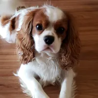 processed/e44ec08a-0915-4885-bc2e-9947739e0490/facility/56c6c8fc-6408-4069-ac83-9a06cafdbcfe