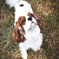 processed/e44ec08a-0915-4885-bc2e-9947739e0490/facility/8bbce333-ac73-4376-9870-464b704c2c09