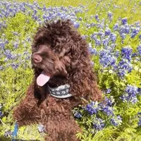 processed/e44ec08a-0915-4885-bc2e-9947739e0490/facility/a5a1aa53-4720-4d97-9d53-c3abb7828b75