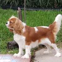 processed/e44ec08a-0915-4885-bc2e-9947739e0490/facility/ce8660e1-9b11-4aed-9a52-74a6f04773ea