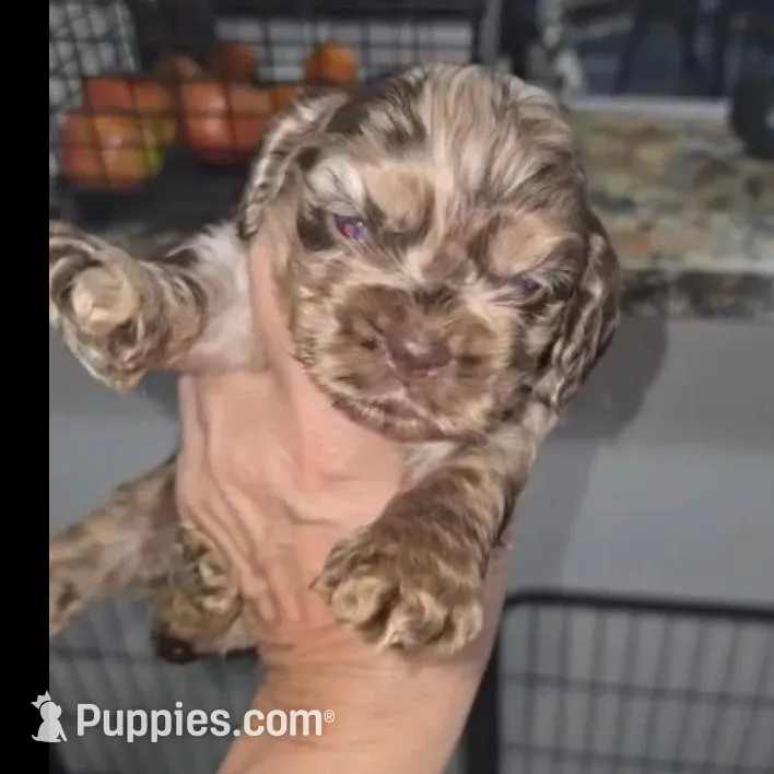 processed/e44ec08a-0915-4885-bc2e-9947739e0490/listing/1b8167e3-5797-4707-b387-857313d37955/7a7d2ed8-e53a-4efc-b626-74444c236174