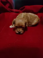 processed/e44eee54-9ae7-4997-a74c-26b0eb319170/listing/a6d494a7-6f1d-4f82-94c1-f31bf0ccfc30/07a72ac9-a6c8-4bd2-b233-ffd3d9dbc9f0