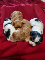 processed/e44eee54-9ae7-4997-a74c-26b0eb319170/listing/a6d494a7-6f1d-4f82-94c1-f31bf0ccfc30/6455b24c-87a6-4de8-9401-01b46eb349af