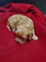 processed/e44eee54-9ae7-4997-a74c-26b0eb319170/listing/a6d494a7-6f1d-4f82-94c1-f31bf0ccfc30/71fe9b59-b28a-4602-b550-14eb1c554f35