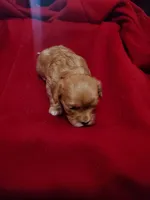 processed/e44eee54-9ae7-4997-a74c-26b0eb319170/listing/a6d494a7-6f1d-4f82-94c1-f31bf0ccfc30/75417e6d-23f9-406e-8376-996801a62f95