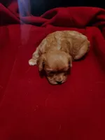 processed/e44eee54-9ae7-4997-a74c-26b0eb319170/listing/a6d494a7-6f1d-4f82-94c1-f31bf0ccfc30/c05b29bb-a207-4f73-bc32-85606a54bfeb