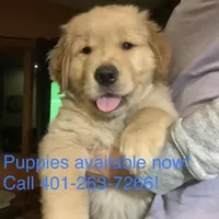 processed/e4511c2a-3325-432c-bcdf-dc90c7902f09/facility/7217b0e4-650d-4a98-944c-83caca74287e