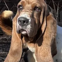 processed/e452a006-67d1-4f00-bcd4-80fe5a9e6fbc/facility/80c2d9ca-36b3-4104-a687-85267f8ccbf8