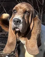 processed/e452a006-67d1-4f00-bcd4-80fe5a9e6fbc/facility/80c2d9ca-36b3-4104-a687-85267f8ccbf8