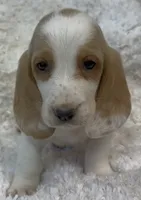 processed/e452a006-67d1-4f00-bcd4-80fe5a9e6fbc/listing/13a0bf32-b1f5-4718-96cb-fceb3cce8fff/3a381191-d46a-4610-b948-6059751406e2