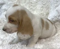 processed/e452a006-67d1-4f00-bcd4-80fe5a9e6fbc/listing/13a0bf32-b1f5-4718-96cb-fceb3cce8fff/ce11d7ae-5c08-4d93-bdd1-5e05ea361e80