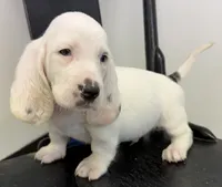 processed/e452a006-67d1-4f00-bcd4-80fe5a9e6fbc/listing/55d01a14-9a51-4b5b-a4c3-254ac2ca042a/6a288eaf-2aae-483e-b00b-c0335ed2a13d