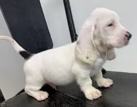 processed/e452a006-67d1-4f00-bcd4-80fe5a9e6fbc/listing/55d01a14-9a51-4b5b-a4c3-254ac2ca042a/93818a77-1664-4588-8a26-4c5341b831ab