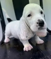 processed/e452a006-67d1-4f00-bcd4-80fe5a9e6fbc/listing/55d01a14-9a51-4b5b-a4c3-254ac2ca042a/a2e216ed-077f-4983-bc29-fcd5632b04c9