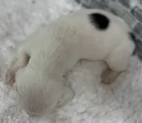 processed/e452a006-67d1-4f00-bcd4-80fe5a9e6fbc/listing/55d01a14-9a51-4b5b-a4c3-254ac2ca042a/ad07e2b4-7246-4057-a622-d1ccfe8ca2b8