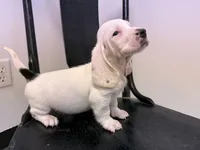 processed/e452a006-67d1-4f00-bcd4-80fe5a9e6fbc/listing/55d01a14-9a51-4b5b-a4c3-254ac2ca042a/c3604772-8821-49ea-84be-22adef934d07