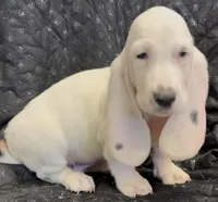 processed/e452a006-67d1-4f00-bcd4-80fe5a9e6fbc/listing/96b33f8a-976b-4141-a8a6-c0a169869f7b/06cada32-97ed-417f-8966-f2d2fefcca39