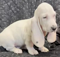 processed/e452a006-67d1-4f00-bcd4-80fe5a9e6fbc/listing/96b33f8a-976b-4141-a8a6-c0a169869f7b/4fd53560-62fd-4693-a517-20ac2999de06