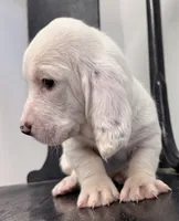 processed/e452a006-67d1-4f00-bcd4-80fe5a9e6fbc/listing/96b33f8a-976b-4141-a8a6-c0a169869f7b/8400866d-7ee3-4a53-9d52-21059d40ffeb