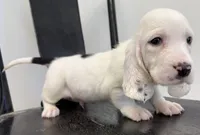 processed/e452a006-67d1-4f00-bcd4-80fe5a9e6fbc/listing/96b33f8a-976b-4141-a8a6-c0a169869f7b/8493c339-dae0-4c7d-bc9d-0ff5310141e4