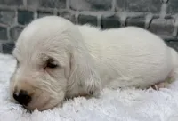 processed/e452a006-67d1-4f00-bcd4-80fe5a9e6fbc/listing/96b33f8a-976b-4141-a8a6-c0a169869f7b/b004a9d5-b1c6-4123-9b51-9676fbf167c2