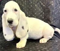 processed/e452a006-67d1-4f00-bcd4-80fe5a9e6fbc/listing/96b33f8a-976b-4141-a8a6-c0a169869f7b/b1579d5b-706e-4a60-b2b2-28d9b49d8770