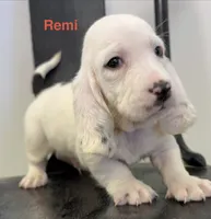 processed/e452a006-67d1-4f00-bcd4-80fe5a9e6fbc/listing/96b33f8a-976b-4141-a8a6-c0a169869f7b/cf1b1405-ad84-4b5d-adc0-e691c44c15e5