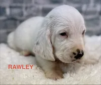 processed/e452a006-67d1-4f00-bcd4-80fe5a9e6fbc/listing/96b33f8a-976b-4141-a8a6-c0a169869f7b/f94eed71-4552-4ade-80a7-6560d91363c7