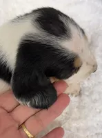 processed/e452a006-67d1-4f00-bcd4-80fe5a9e6fbc/listing/bc80ae1d-7840-4149-8823-58fc87931fe0/4e166acd-95de-4a2c-a832-21413d973634