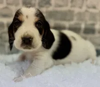 processed/e452a006-67d1-4f00-bcd4-80fe5a9e6fbc/listing/bc80ae1d-7840-4149-8823-58fc87931fe0/993e0999-fa17-4b97-a96b-219fecd62e56