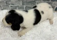 processed/e452a006-67d1-4f00-bcd4-80fe5a9e6fbc/listing/bc80ae1d-7840-4149-8823-58fc87931fe0/ae58f7ff-9093-48fc-bd8d-50c642000e5e