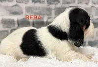 processed/e452a006-67d1-4f00-bcd4-80fe5a9e6fbc/listing/bc80ae1d-7840-4149-8823-58fc87931fe0/ae86aa72-5ff9-420e-8eea-e608a81fd870