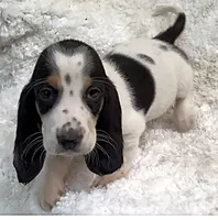 processed/e452a006-67d1-4f00-bcd4-80fe5a9e6fbc/listing/bc80ae1d-7840-4149-8823-58fc87931fe0/f92b05ad-695b-4728-8717-71660b6d860f