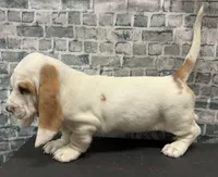 processed/e452a006-67d1-4f00-bcd4-80fe5a9e6fbc/listing/ea603b2d-cfe4-4834-9fb9-4b2f655ca7ed/03c22aea-94f9-4266-b7da-9f455346194e