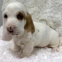 processed/e452a006-67d1-4f00-bcd4-80fe5a9e6fbc/listing/ea603b2d-cfe4-4834-9fb9-4b2f655ca7ed/0d03010d-924c-43e6-b341-396b596674cf