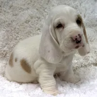 processed/e452a006-67d1-4f00-bcd4-80fe5a9e6fbc/listing/ea603b2d-cfe4-4834-9fb9-4b2f655ca7ed/90dcc72b-0647-4ecb-8c51-ae0691304cbf