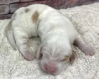 processed/e452a006-67d1-4f00-bcd4-80fe5a9e6fbc/listing/ea603b2d-cfe4-4834-9fb9-4b2f655ca7ed/d6a1a49c-bc80-4abd-8f1b-bcebdc17f62a