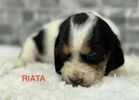 processed/e452a006-67d1-4f00-bcd4-80fe5a9e6fbc/listing/ef8f004e-95a1-4d30-8516-a84d315e71ce/e9f7e0f7-c305-4c51-8edd-29b1137b238c