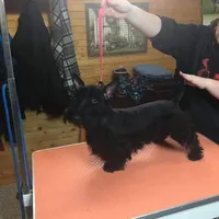 processed/e454a6e4-dbe3-47ab-85a5-e1cd6643f268/facility/2eb0a26d-19d9-455a-8136-7ea66acab760