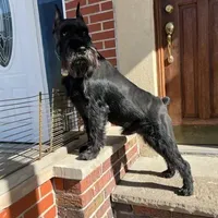 processed/e454a6e4-dbe3-47ab-85a5-e1cd6643f268/facility/3344ff6e-04a8-46fc-ae6f-87584a0b0389