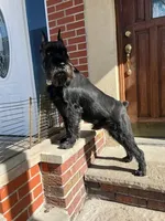 processed/e454a6e4-dbe3-47ab-85a5-e1cd6643f268/facility/3344ff6e-04a8-46fc-ae6f-87584a0b0389