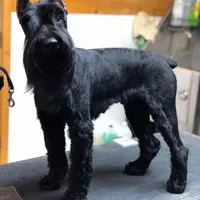 processed/e454a6e4-dbe3-47ab-85a5-e1cd6643f268/facility/5cd4a5e0-ee16-493e-ac1b-f17115d0cdab