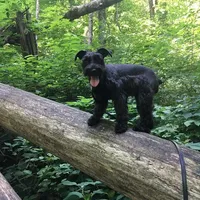 processed/e454a6e4-dbe3-47ab-85a5-e1cd6643f268/facility/5f7ada07-f0cc-475a-9f78-e9796a0490d4