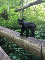 processed/e454a6e4-dbe3-47ab-85a5-e1cd6643f268/facility/5f7ada07-f0cc-475a-9f78-e9796a0490d4