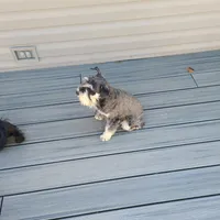 processed/e454a6e4-dbe3-47ab-85a5-e1cd6643f268/facility/a9f410b2-e617-449e-875e-aedfba3a0c4b