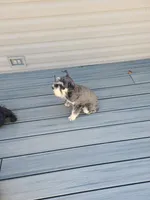 processed/e454a6e4-dbe3-47ab-85a5-e1cd6643f268/facility/a9f410b2-e617-449e-875e-aedfba3a0c4b