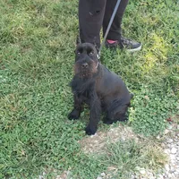 processed/e454a6e4-dbe3-47ab-85a5-e1cd6643f268/facility/c5a5f4df-c32e-41af-a450-aacec4a2288e