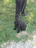 processed/e454a6e4-dbe3-47ab-85a5-e1cd6643f268/facility/c5a5f4df-c32e-41af-a450-aacec4a2288e