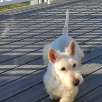 processed/e454a6e4-dbe3-47ab-85a5-e1cd6643f268/facility/cb5667d9-3b3e-495b-8363-9477903a62f6